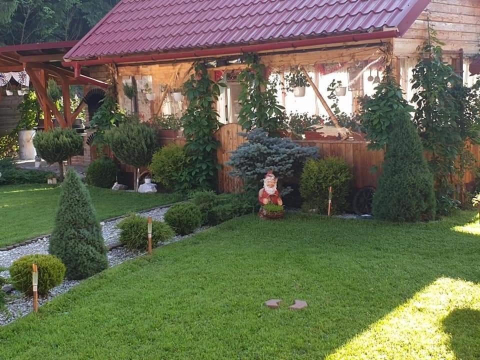 Pensiunea Gianina Arieşeni المظهر الخارجي الصورة