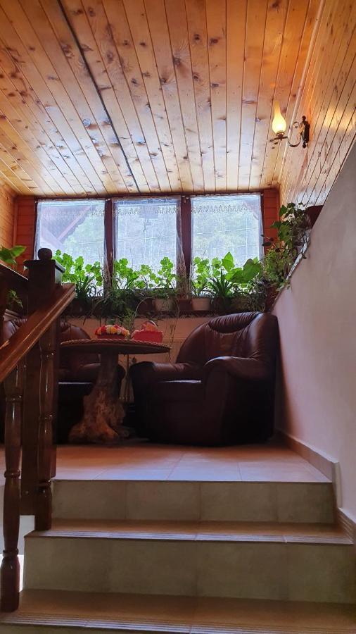 Pensiunea Gianina Arieşeni المظهر الخارجي الصورة
